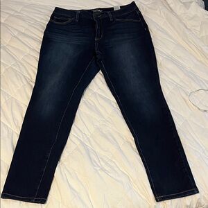 Time and Tru High Rise Dark Blue Skinny Jeans